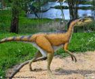 Το Troodon είχε ένα μακρύ λαιμό, τα χέρια του είχε 3 δάχτυλα με νύχια και ισχυρά πόδια, που τους έκανε εξαιρετική δρομείς. Μέτρησης περίπου 2 μέτρα μακριά, 1 ψηλός και ζυγίζονται μεταξύ 27 και 45 kg